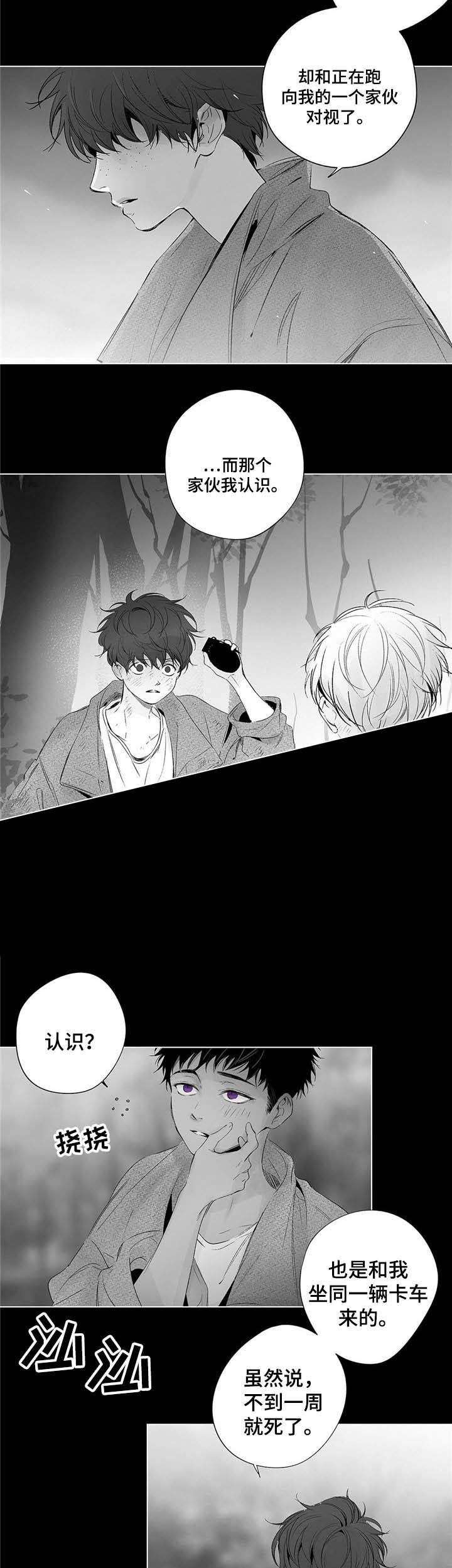 蜜月酒店杀手事件豆瓣评分漫画,第54话4图