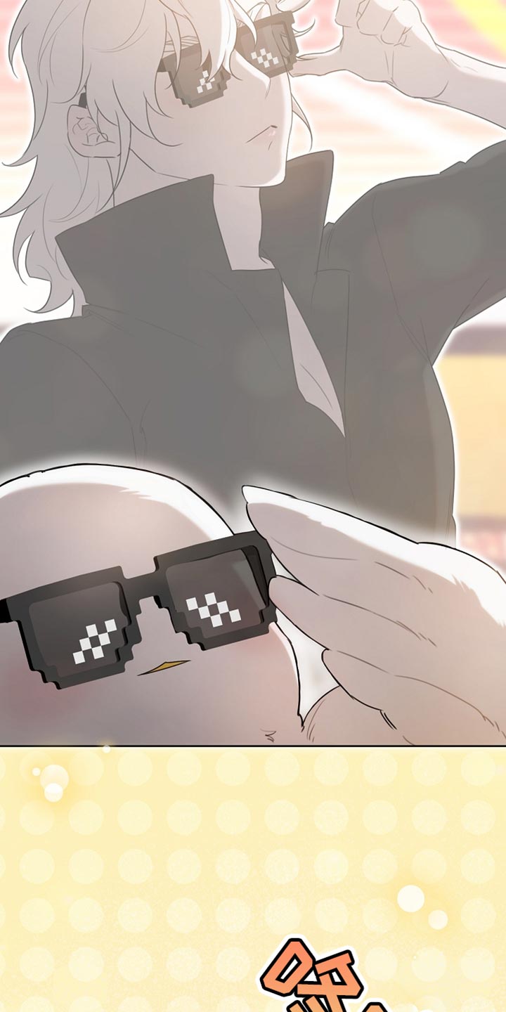 白鸟奇遇记完结了吗漫画,第73话5图