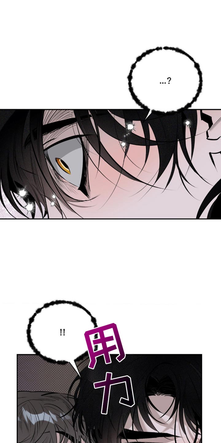 月光下的凤尾竹葫芦丝简谱漫画,第15话1图