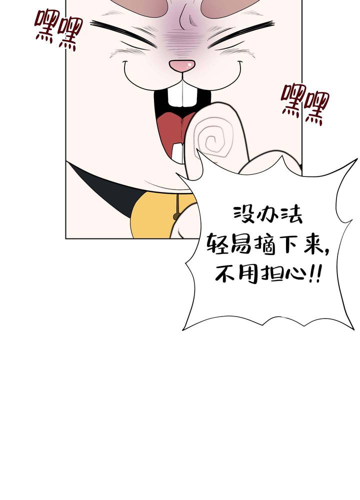 兔耳惊喜团购券漫画,第10话5图