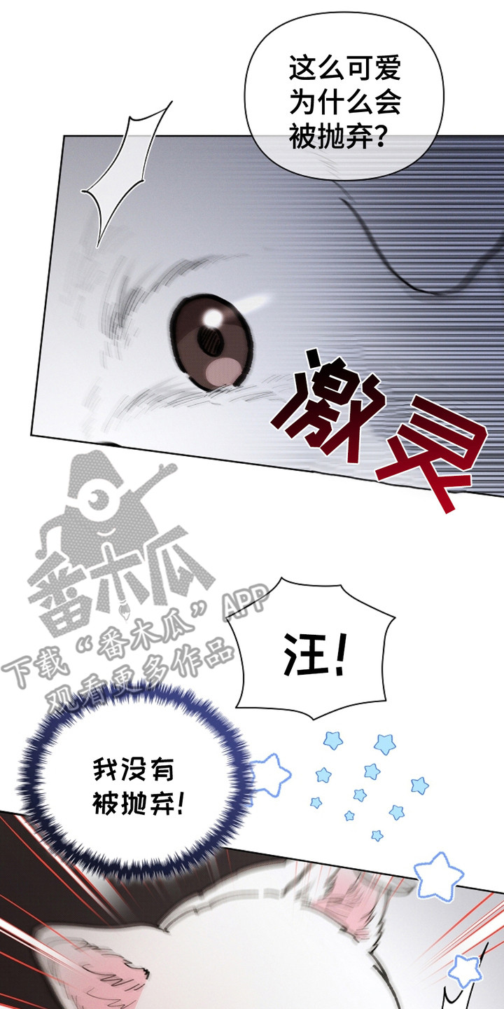 小白狗的视频漫画,第15话2图