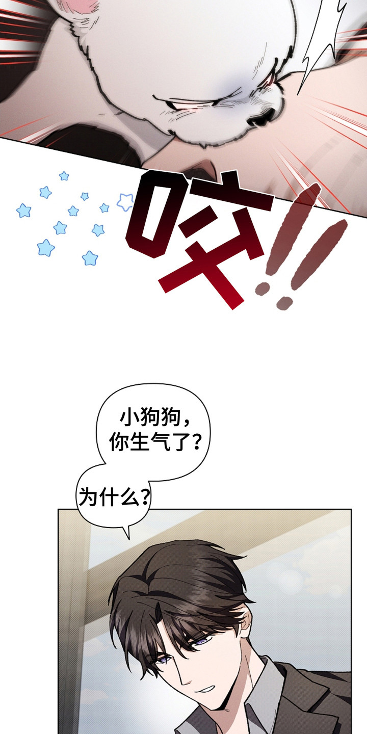 小白狗的视频漫画,第15话3图