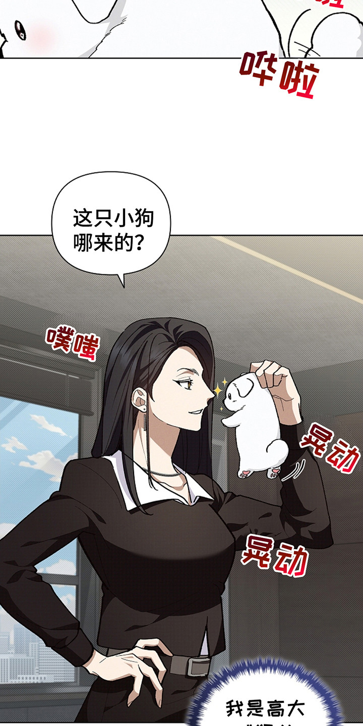 小白狗视频搞笑漫画,第23话3图