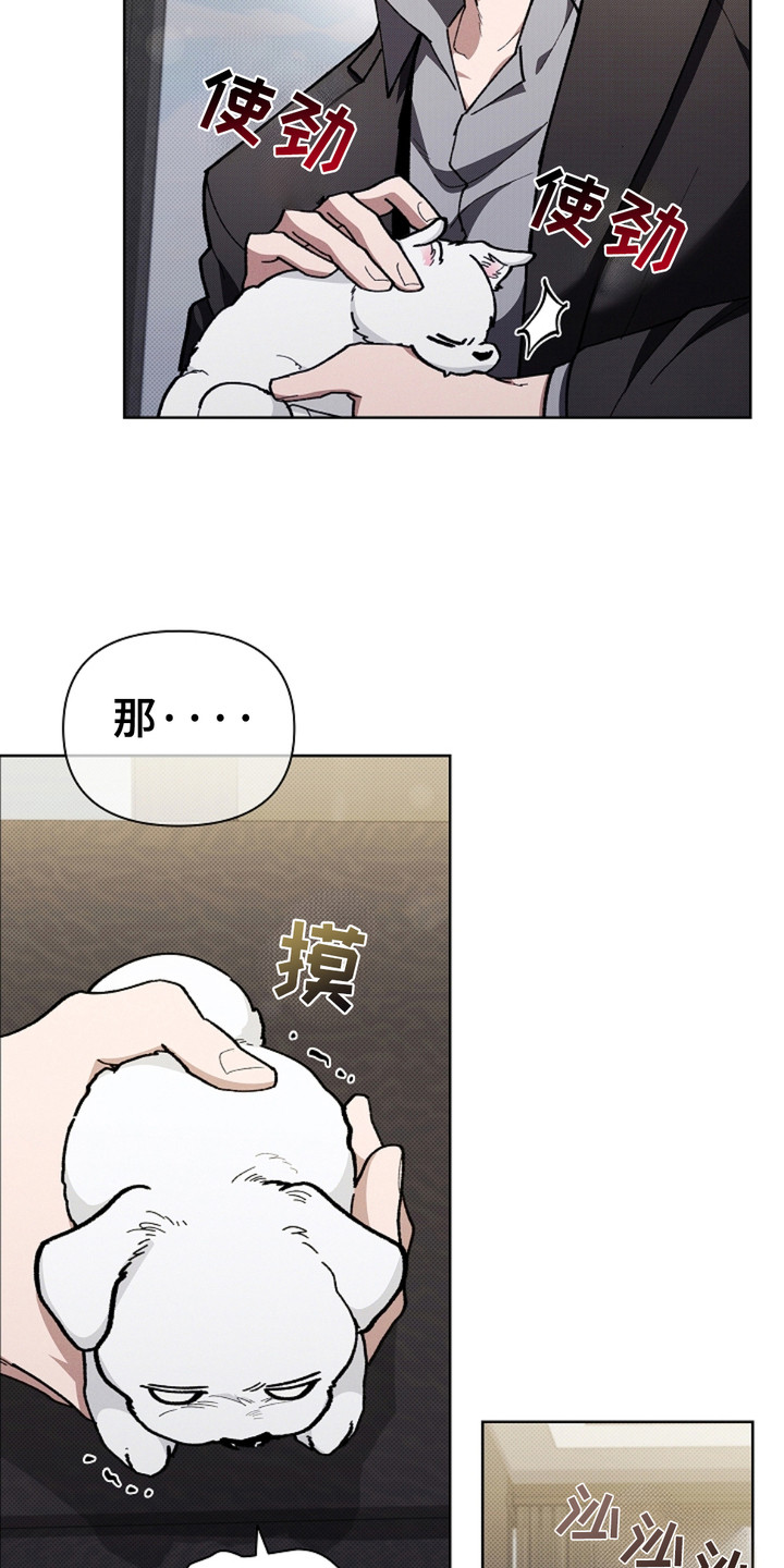 小白狗的视频漫画,第15话4图
