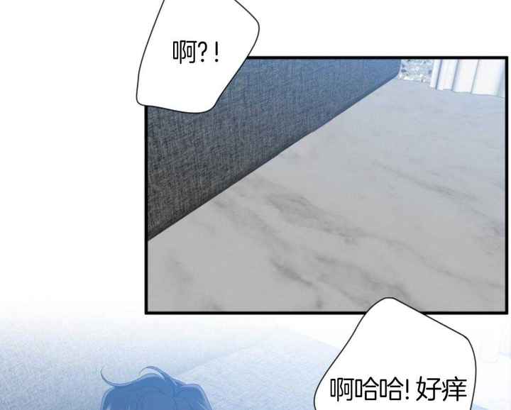 被驯服的虎免费阅读漫画,第146话5图