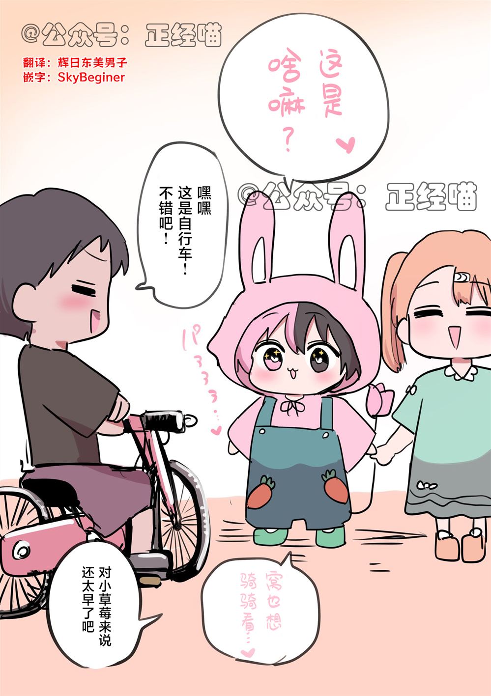 小草莓也想骑车0