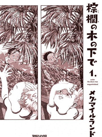 棕榈树和椰子树区别