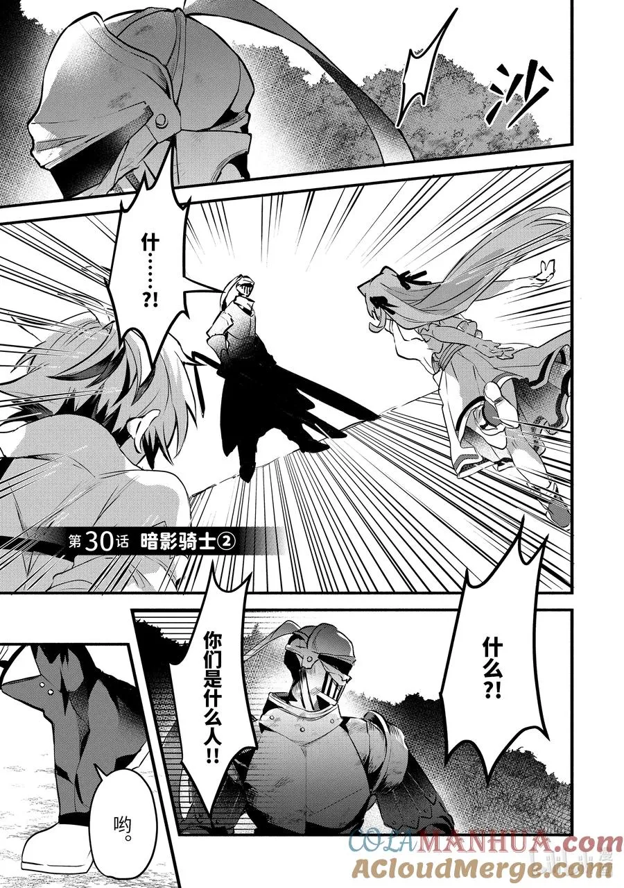 30 暗影骑士②4