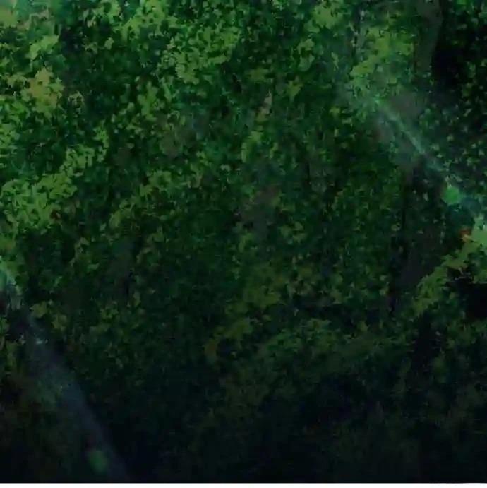 AI主宰的世界漫画,第1话2图